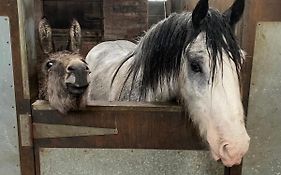 Holywell Grange Farm